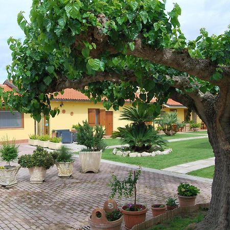 Bed and Breakfast Le Terre Di Bac Borgo Montenero Exterior foto