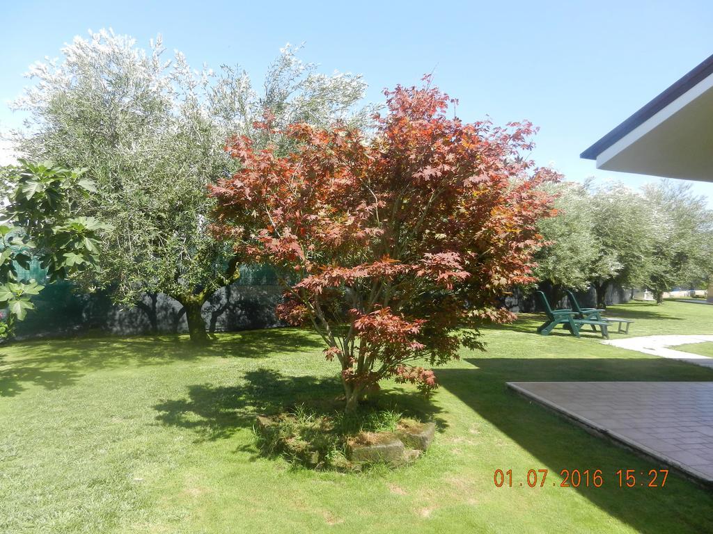 Bed and Breakfast Le Terre Di Bac Borgo Montenero Exterior foto
