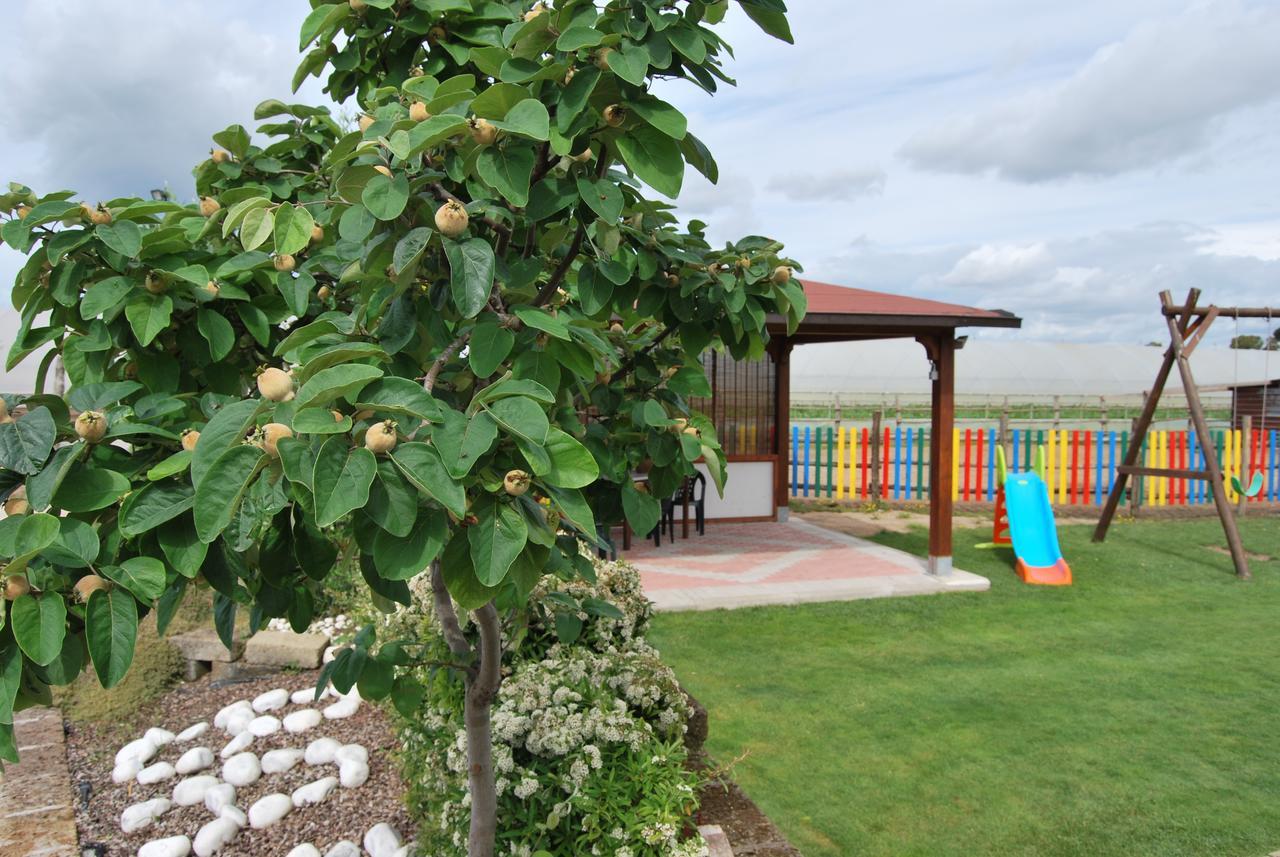 Bed and Breakfast Le Terre Di Bac Borgo Montenero Exterior foto